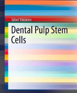 Ebook Dental Pulp Stem Cells (SpringerBriefs in Stem Cells) 2013th Edition