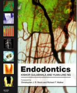 Ebook Endodontics, 4e 4th Edition