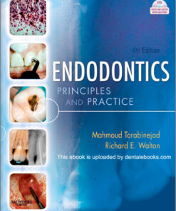 Endodontics: Principles and Practice, 4th Edition with DVD