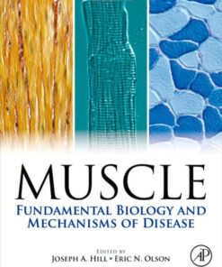 Muscle 2-Volume Set: Fundamental Biology and Mechanisms of Disease 1st Edition
