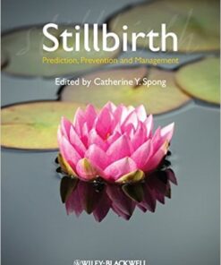 Stillbirth: Prediction, Prevention and Management 1st Edition