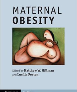 Maternal Obesity 1st Edition
