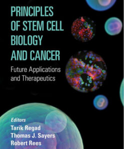 Principles of Stem Cell Biology and Cancer: Future Applications and Therapeutics 1st Edition
