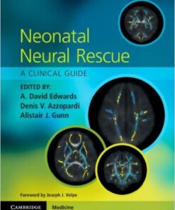 Neonatal Neural Rescue: A Clinical Guide 1st Edition