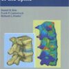 Dynamic Reconstruction of the Spine 1st Edition
