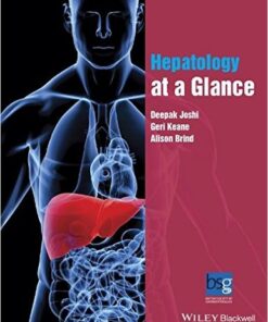 Hepatology at a Glance 1st Edition