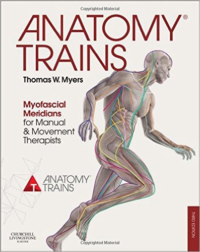 Anatomy Trains: Myofascial Meridians for Manual and Movement Therapists, 3e 3rd Edition