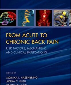 From Acute to Chronic Back Pain: Risk Factors, Mechanisms, and Clinical Implications 1st Edition