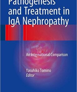Pathogenesis and Treatment in IgA Nephropathy: An International Comparison 1st ed. 2016 Edition