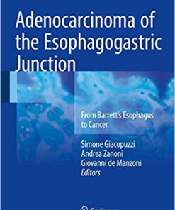Adenocarcinoma of the Esophagogastric Junction 2016 : From Barrett's Esophagus to Cancer