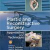 Plastic and Reconstructive Surgery: Approaches and Techniques 1st Edition, PDF