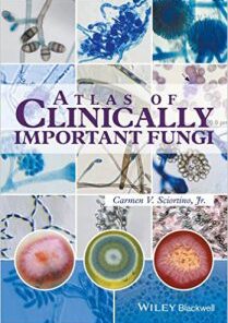 Atlas of Clinically Important Fungi  PDF