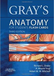 Gray’s Anatomy for Students Flash Cards, 3rd Edition PDF