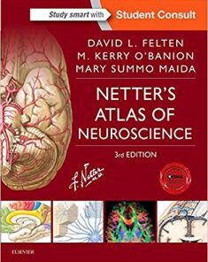 Netter’s Atlas of Neuroscience, 3rd Edition PDF