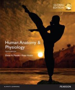 Human Anatomy & Physiology 10th Global Edition PDF