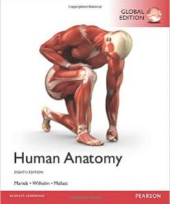 Human Anatomy, 8th Global Edition PDF