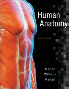 Human Anatomy 8th Edition PDF