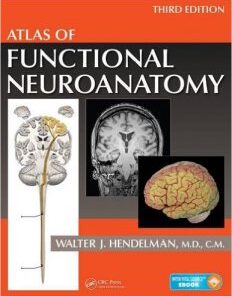 Atlas of Functional Neuroanatomy, 3rd Edition PDF
