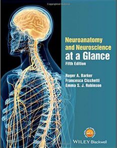 Neuroanatomy and Neuroscience at a Glance 5th Edition PDF