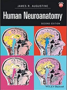 Human Neuroanatomy 2nd Edition PDF