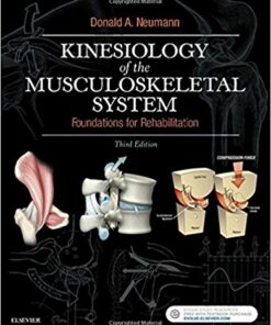 Kinesiology of the Musculoskeletal System: Foundations for Rehabilitation, 3e 3rd Edition PDF & VIDEO