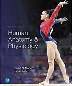 Human Anatomy & Physiology (11th Edition) 11th Edition PDF