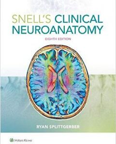 Snell’s Clinical Neuroanatomy 8th Edition PDF
