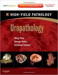 Uropathology: A Volume in the High Yield Pathology Series (Expert Consult - Online and Print), 1e