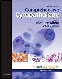 Comprehensive Cytopathology: Expert Consult: Online and Print, 3e