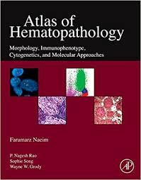 Atlas of Hematopathology: Morphology, Immunophenotype, Cytogenetics, and Molecular Approaches 1st Edition