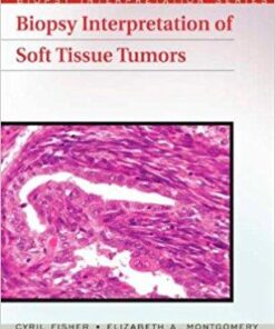Biopsy Interpretation of Soft Tissue Tumors (Biopsy Interpretation Series)