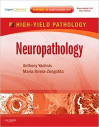 Neuropathology: A Volume in the High Yield Pathology Series