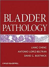 Bladder Pathology 1st Edition