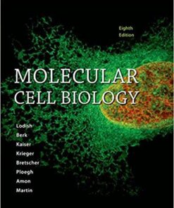 Molecular Cell Biology 8th Edition