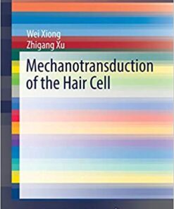 Mechanotransduction of the Hair Cell (SpringerBriefs in Biochemistry and Molecular Biology)