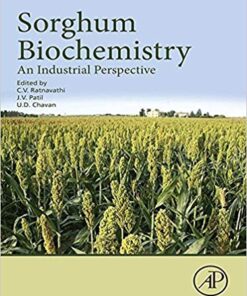 Sorghum Biochemistry: An Industrial Perspective 1st Edition