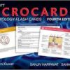 Lippincott Microcards: Microbiology Flash Cards Fourth Edition