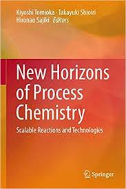 New Horizons of Process Chemistry: Scalable Reactions and Technologies 1st