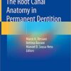The Root Canal Anatomy in Permanent Dentition 1st ed. 2019 Edition PDF
