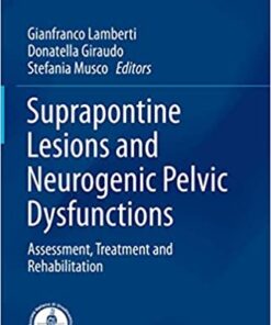 Suprapontine Lesions and Neurogenic Pelvic Dysfunctions: Assessment, Treatment and Rehabilitation (Urodynamics, Neurourology and Pelvic Floor Dysfunctions) 1st ed. 2020 Edition PDF