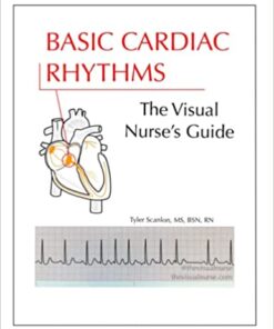 Basic Cardiac Rhythms: The Visual Nurse’s Guide (The Visual Nurse’s Basic ECG Series) (Azw3+epub+converted pdf)