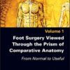 Foot Surgery Viewed Through the Prism of Comparative Anatomy: From Normal to Useful (Original PDF from Publisher)