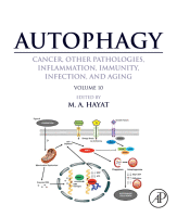 Autophagy: Cancer, Other Pathologies, Inflammation, Immunity, Infection, and Aging Volume 10