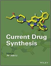 Current Drug Synthesis (Wiley Series on Drug Synthesis) 1st Edition