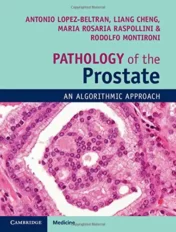 athology of the Prostate: An Algorithmic Approach