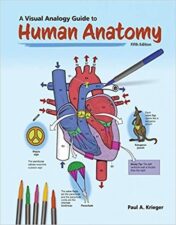 A Visual Analogy Guide to Human Anatomy, 5th Edition (High Quality Image PDF